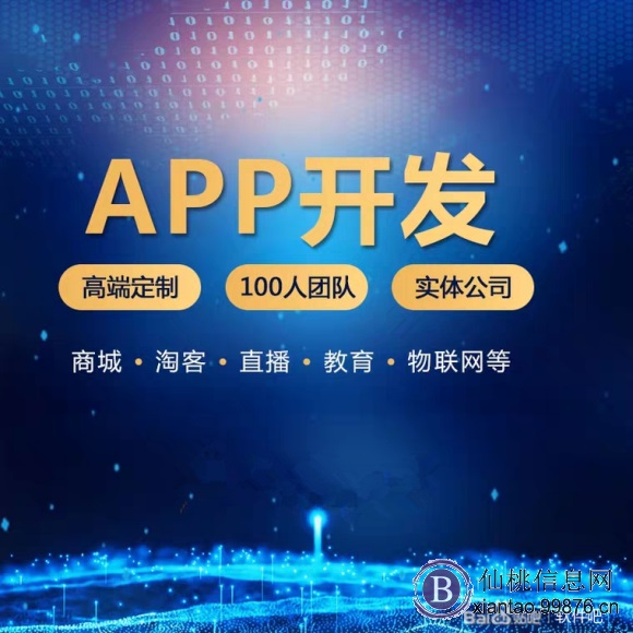 专业定制软件app